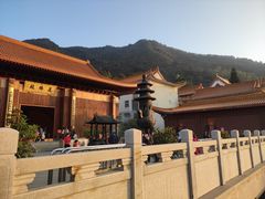 -深圳仙湖植物园