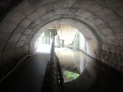 -白水寺森林公园