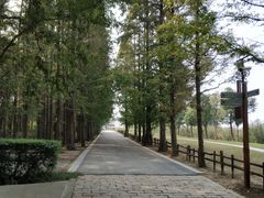 -同里国家湿地公园