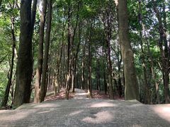 -广州市帽峰山景区