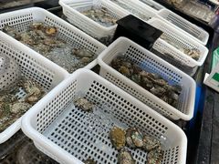 -亚马逊海鲜自助(梅溪湖步步高店)