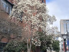 -浙江大学(玉泉校区)