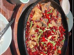 -老板恋上鱼(高新万达店)