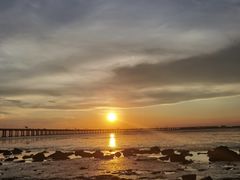 -宝安西湾红树林湿地公园