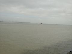 -大湾区中央湿地公园-十九涌
