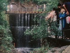 -大奇山国家森林公园