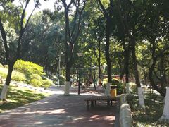 -天河儿童公园