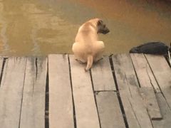 -洞里萨湖