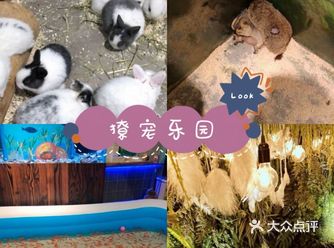 玩够了那些娱乐场所，今天让我们去瞧一瞧小动物们吧