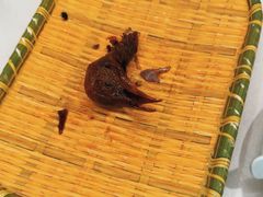 -五谷芳乳鸽王(梅沙老店)