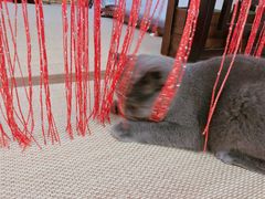 -第三空间·趣味桌游·轰趴.室内CS.剧本杀(大武汉1911店)