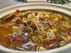 -羊门客在·烤盐池滩羊·川菜