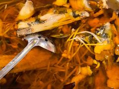 -鑫巴蜀小镇 · 水煮鱼专研店(玉桥店)