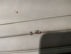 -TSL謝瑞麟(永安百货店)