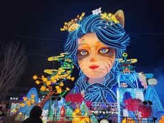 -淄博花灯齐彩城