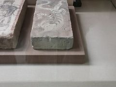-敦煌市博物馆