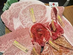-俺的焼肉(銀座9丁目店)