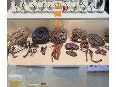 -广东中医药博物馆