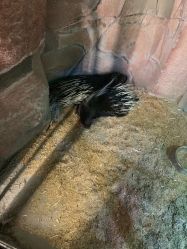 -酷嗒动物文化乐园(cutezoo西溪乐天城店)