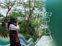 -西双版纳勐泐文化旅游区