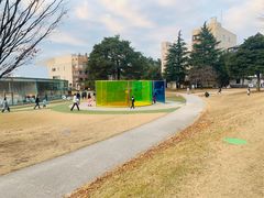 -金泽21世纪美术馆