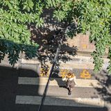 重庆彩虹阶梯旁的居民楼老火锅‼️人间烟火气