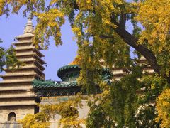 -北京石刻艺术博物馆(五塔寺)