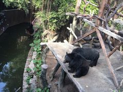-长鹿旅游休博园