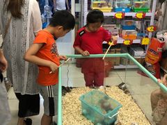 -钓仓鼠(洋桥北里小区店)