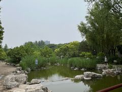 -大望京公园