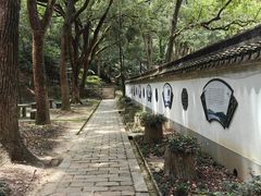 -上海佘山国家森林公园天马山园