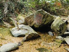 -鼎湖山风景区