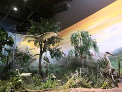 -陕西自然博物馆