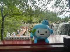-汤旺河林海奇石景区