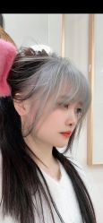 -爱维丽