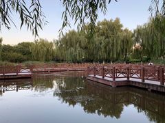 -丰台科技园生态主题公园