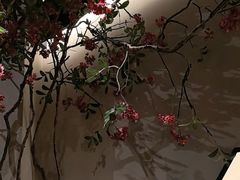 -绿茶餐厅(朝阳大悦城店)