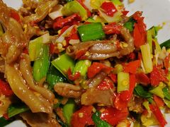 鸭掌筋-壹盏灯(惠农店)