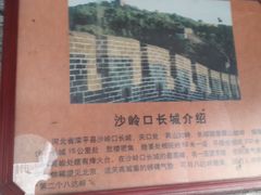 -龙口南山旅游景区