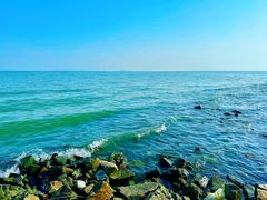-贡湖湾湿地公园