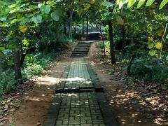 android_upload_pic-天河儿童公园
