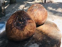 -东郊椰林