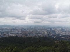 -长虫山生态公园风景林