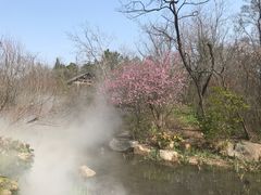 -江苏三台山国家森林公园