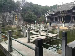 -天鹅湖体育公园