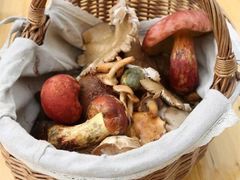 -慢丽江·云南野生菌土鸡锅(西山店)