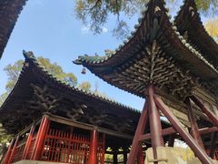 -晋祠公园
