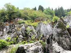 -华蓥山天意谷景区