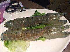 大濑尿虾-协成海鲜火锅(海洋花园店)