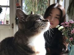 -海边的猫和咖啡馆